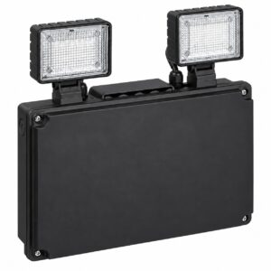 Red Arrow Juno 65 Emergency LED Twin Spot Self Test Black - JUN65/500/ST/V2/B